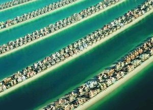 迪拜俯瞰效果图